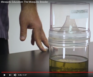 Using Mosquito Breeders in the Classroom